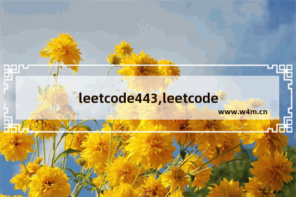 leetcode443,leetcode474