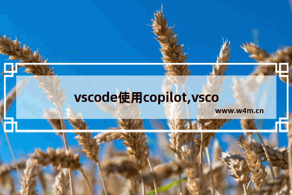 vscode使用copilot,vscode插件安装方法