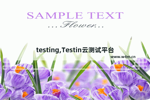 testing,Testin云测试平台