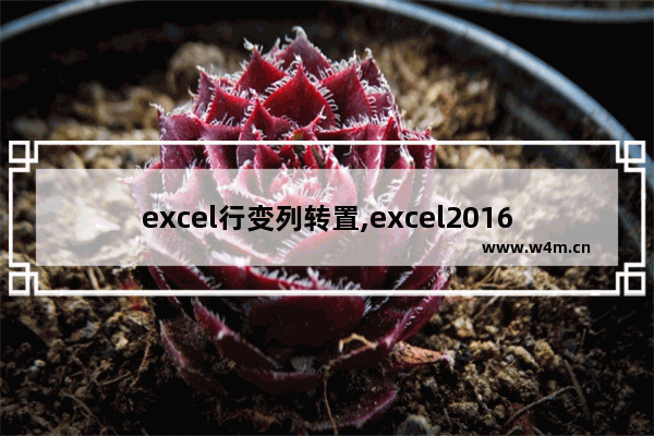 excel行变列转置,excel2016怎么转置行列