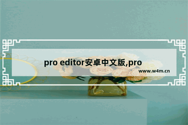 pro editor安卓中文版,pro editor下载