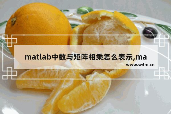 matlab中数与矩阵相乘怎么表示,matlab中矩阵乘法