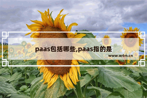 paas包括哪些,paas指的是