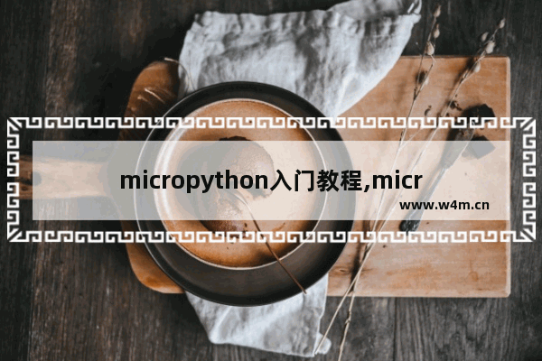 micropython入门教程,micropython中文教程