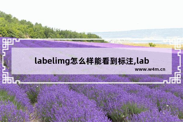 labelimg怎么样能看到标注,labelme快速标注方法