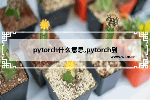 pytorch什么意思,pytorch到底是什么