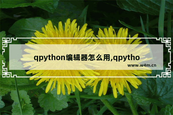 qpython编辑器怎么用,qpython手机版能做什么