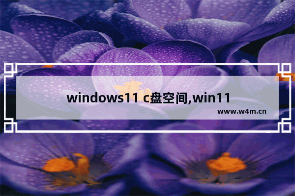 windows11 c盘空间,win11 硬盘空间