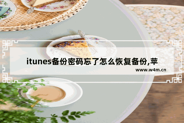 itunes备份密码忘了怎么恢复备份,苹果itunes备份密码怎么找回