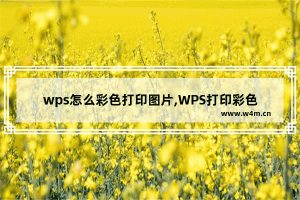 wps怎么彩色打印图片,WPS打印彩色