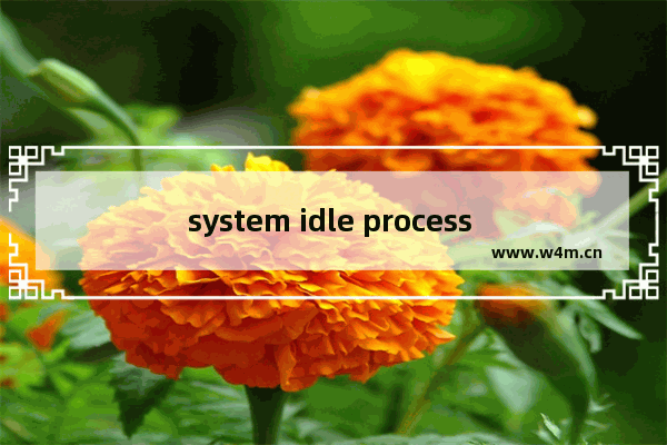 system idle process cpu占用过高,system idle process占用率高导致网速变慢