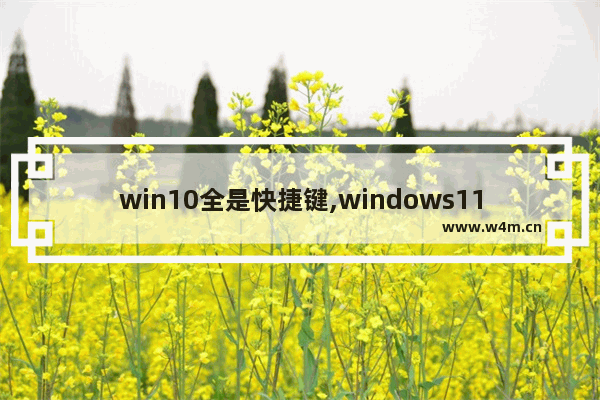 win10全是快捷键,windows11快捷键大全功能键