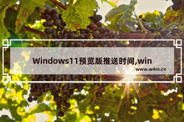 Windows11预览版推送时间,win11预览版推送