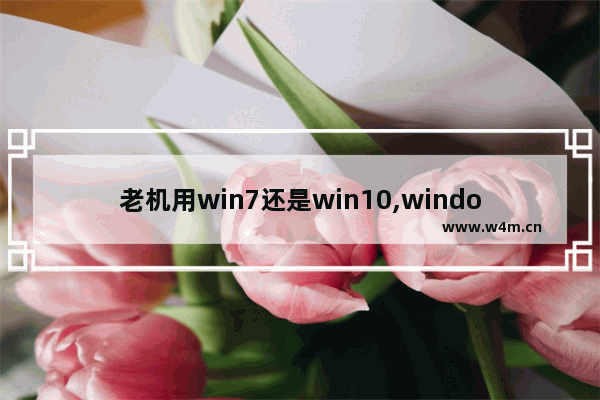 老机用win7还是win10,windows7是老系统吗