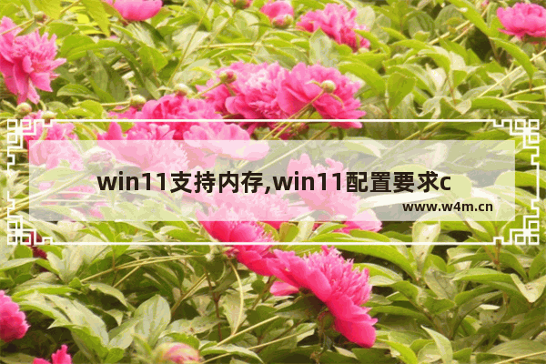 win11支持内存,win11配置要求cpu