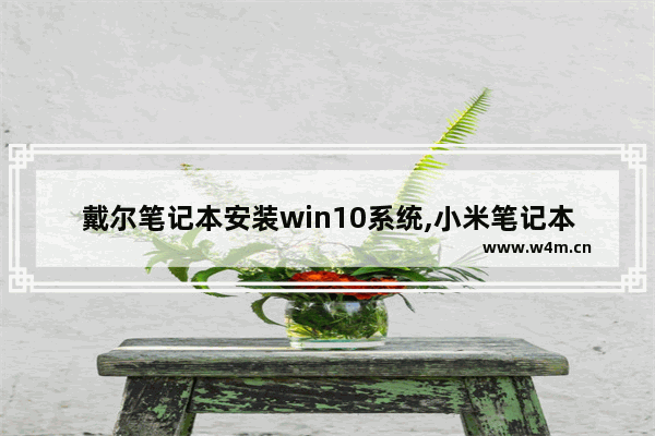 戴尔笔记本安装win10系统,小米笔记本安装win10系统