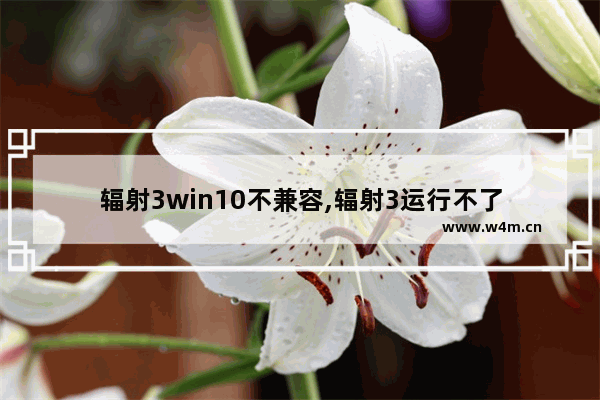 辐射3win10不兼容,辐射3运行不了