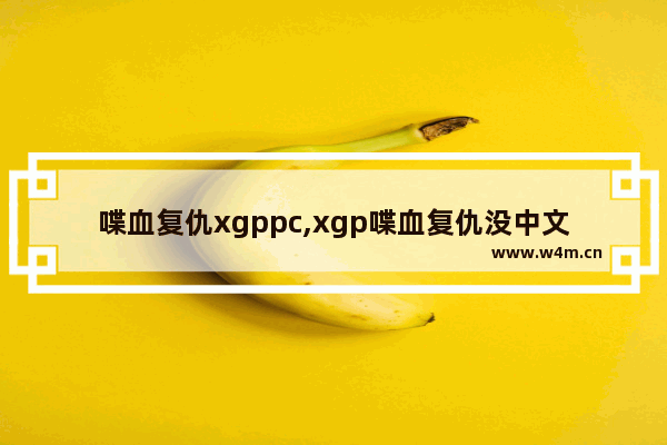 喋血复仇xgppc,xgp喋血复仇没中文