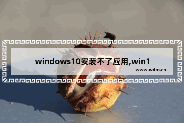 windows10安装不了应用,win10应用安装失败