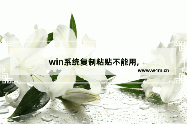 win系统复制粘贴不能用,