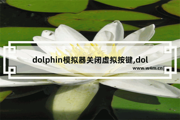 dolphin模拟器关闭虚拟按键,dolphin模拟器键位设置