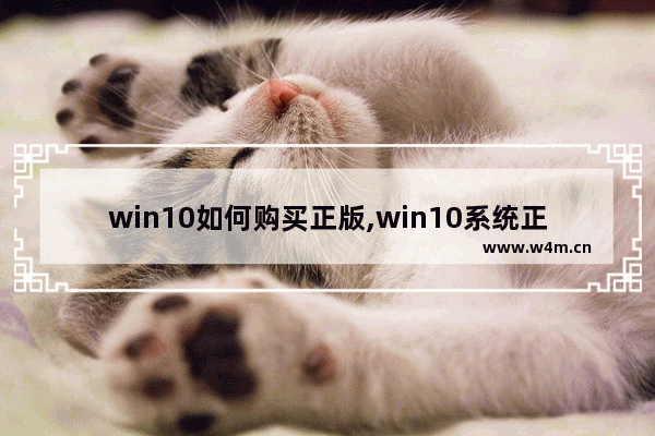 win10如何购买正版,win10系统正版购买