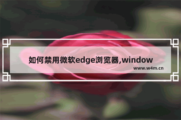 如何禁用微软edge浏览器,windows10的microsoft edge怎么禁用