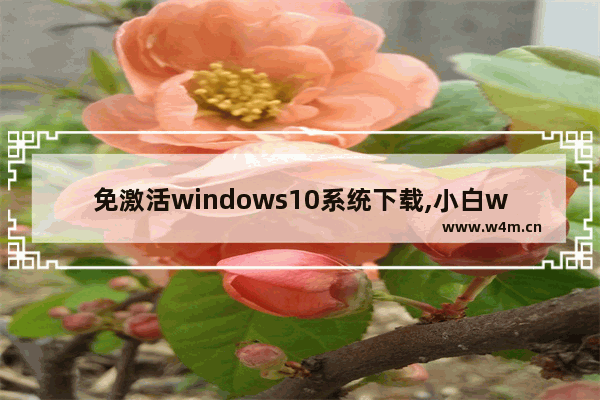 免激活windows10系统下载,小白win10专业版如何激活