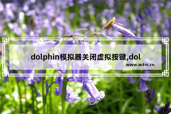 dolphin模拟器关闭虚拟按键,dolphin模拟器键位设置