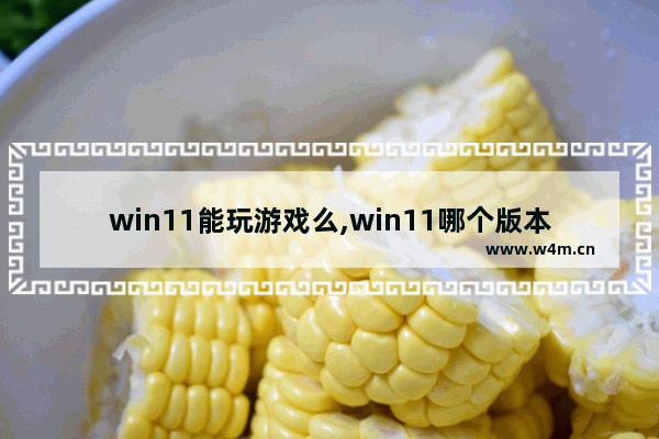 win11能玩游戏么,win11哪个版本打游戏好