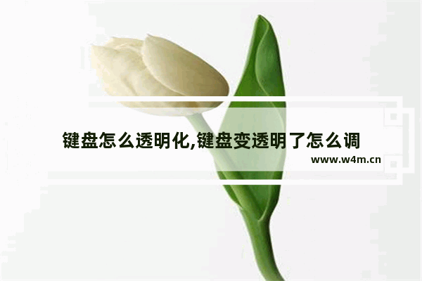 键盘怎么透明化,键盘变透明了怎么调