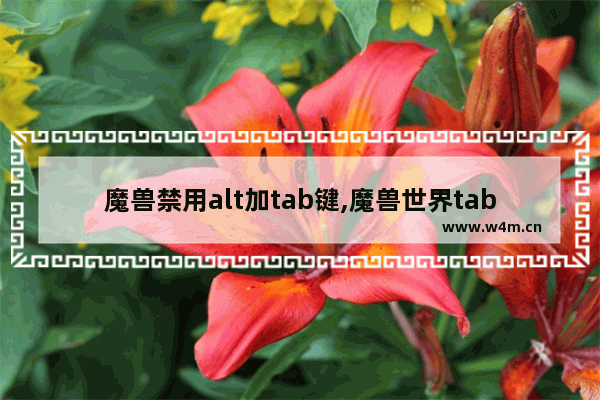 魔兽禁用alt加tab键,魔兽世界tab键只选择敌对玩家