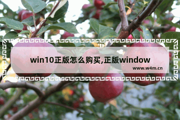 win10正版怎么购买,正版windows10怎么购买