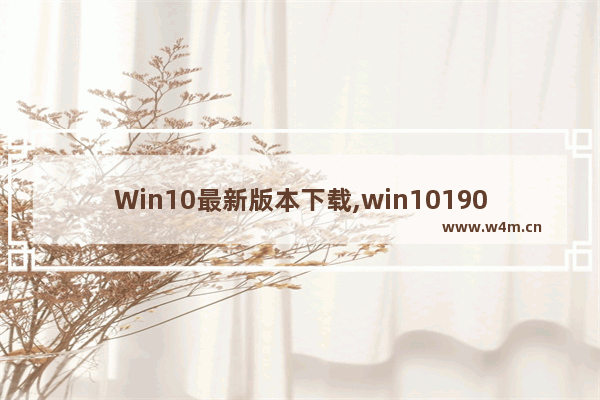 Win10最新版本下载,win101909纯净版