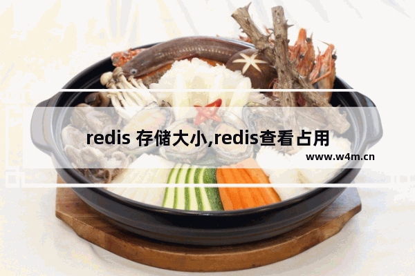 redis 存储大小,redis查看占用空间大小