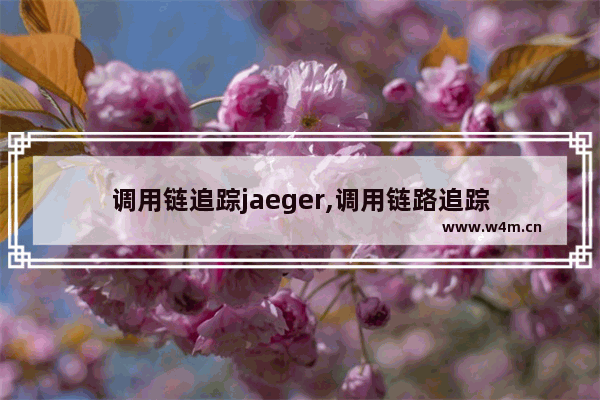 调用链追踪jaeger,调用链路追踪