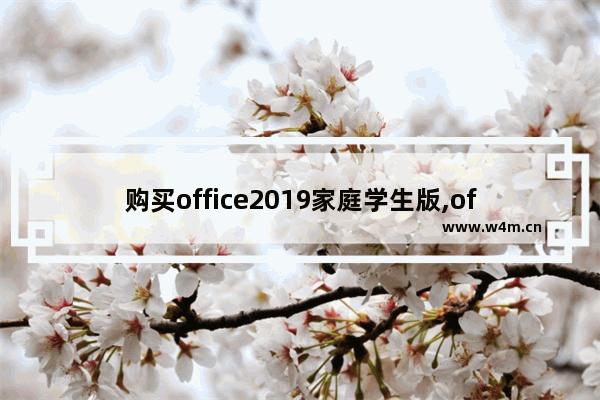 购买office2019家庭学生版,office家庭和学生版2019是免费的吗