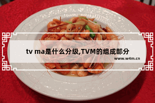 tv ma是什么分级,TVM的组成部分