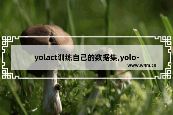 yolact训练自己的数据集,yolo-fastest训练自己的数据集