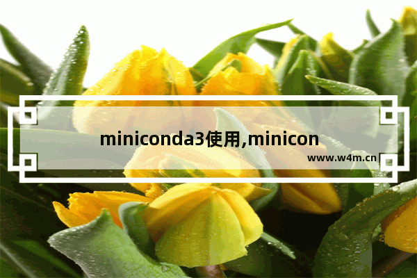 miniconda3使用,miniconda的安装与配置