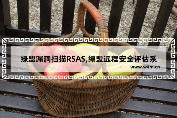 绿盟漏洞扫描RSAS,绿盟远程安全评估系统RSAS