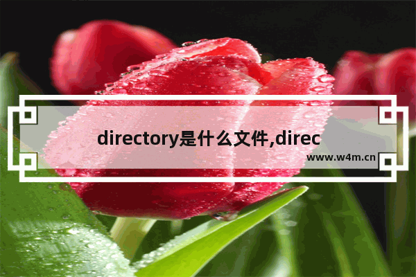 directory是什么文件,directory与catalogue