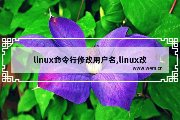 linux命令行修改用户名,linux改用户名的命令