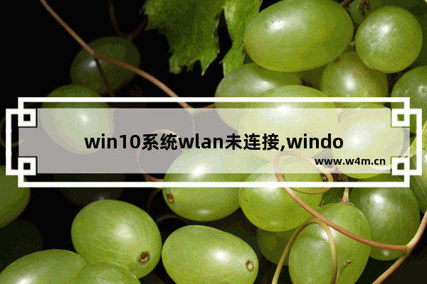 win10系统wlan未连接,windows10网络连接没有WLAN