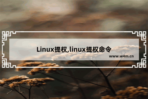 Linux提权,linux提权命令