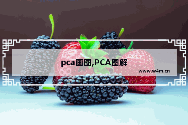 pca画图,PCA图解