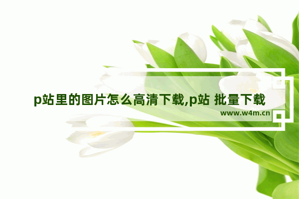 p站里的图片怎么高清下载,p站 批量下载