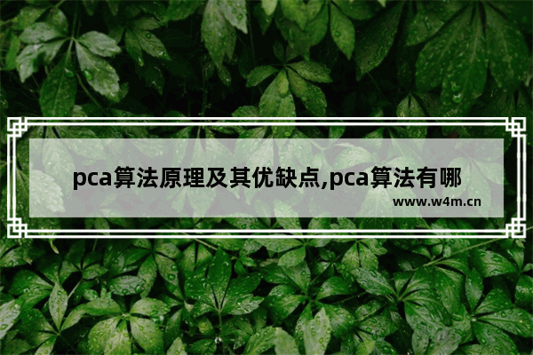 pca算法原理及其优缺点,pca算法有哪些缺点