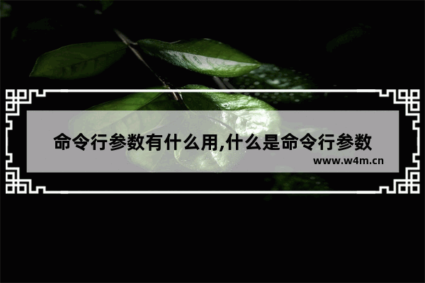 命令行参数有什么用,什么是命令行参数