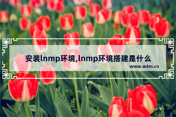 安装lnmp环境,lnmp环境搭建是什么意思